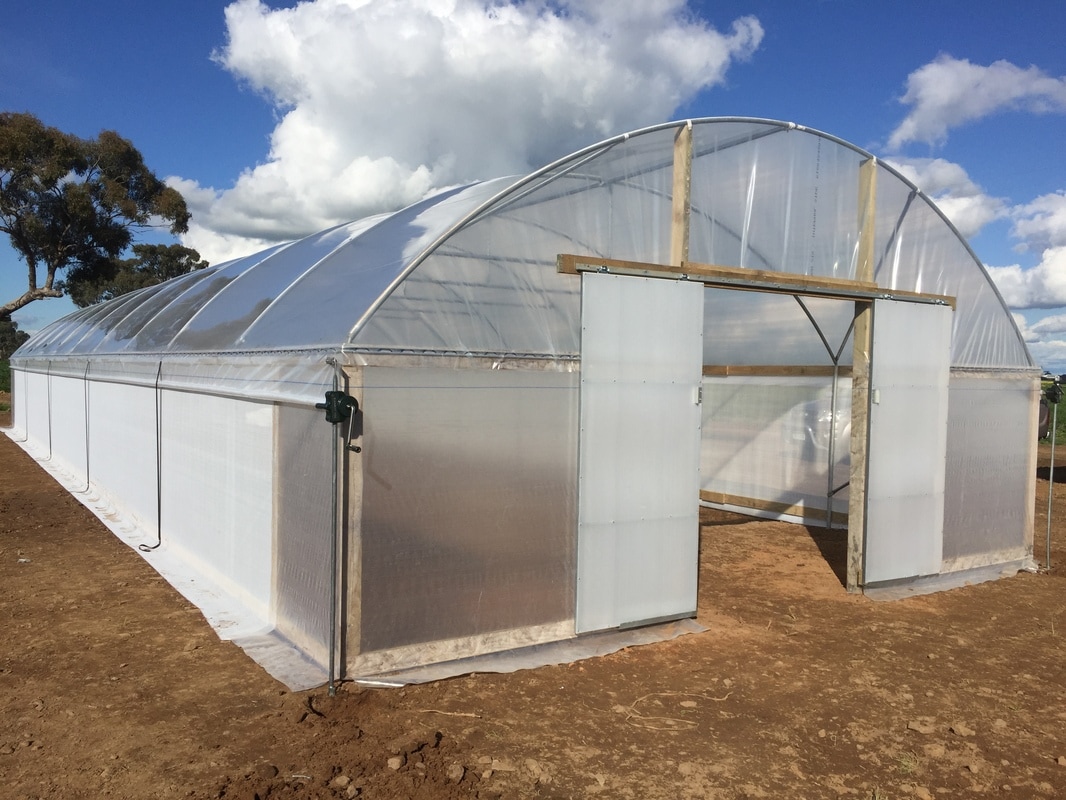 ventilated Greenhouse